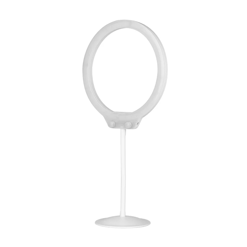 Ringlamp 10″ 10W Grijs